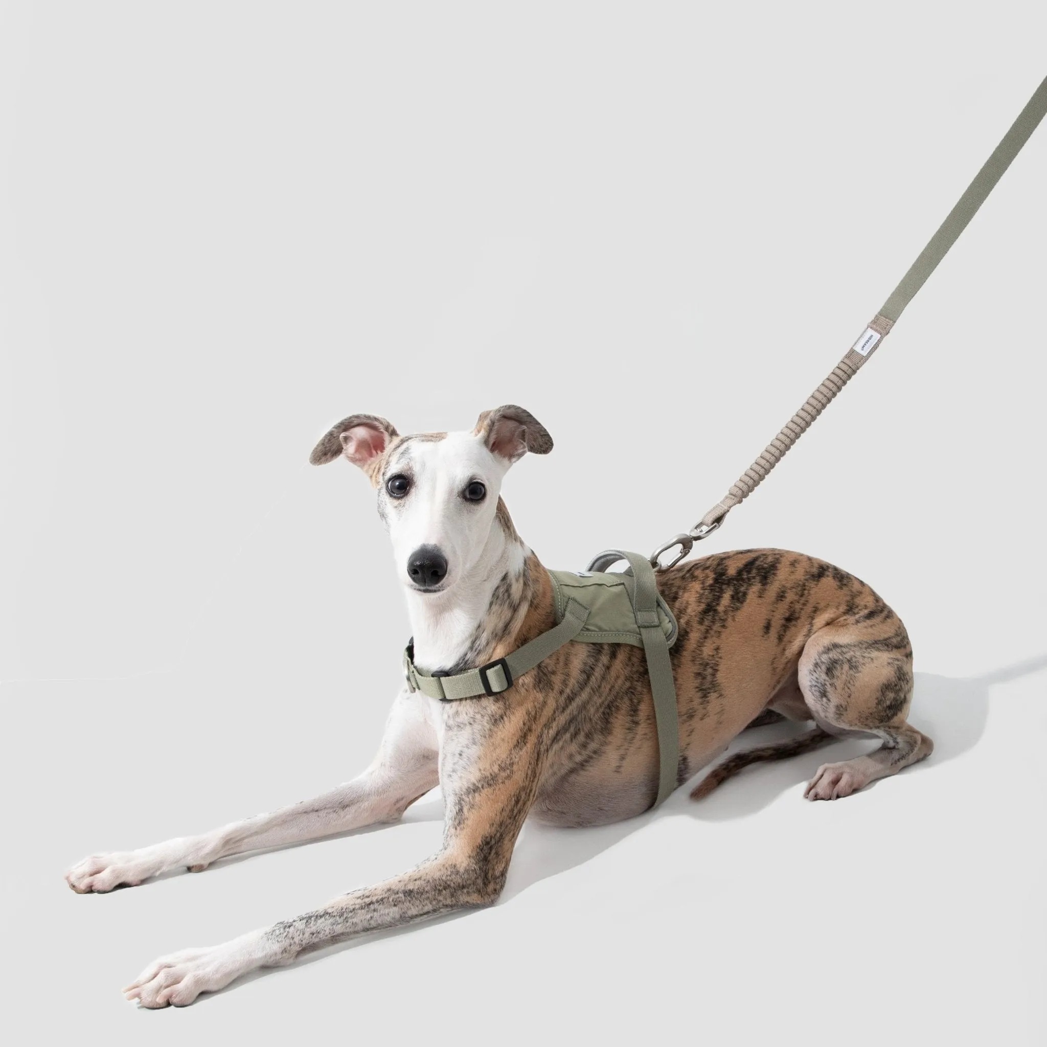 (NEW) Valley Series Dog Harness Vest Kit - Image 5