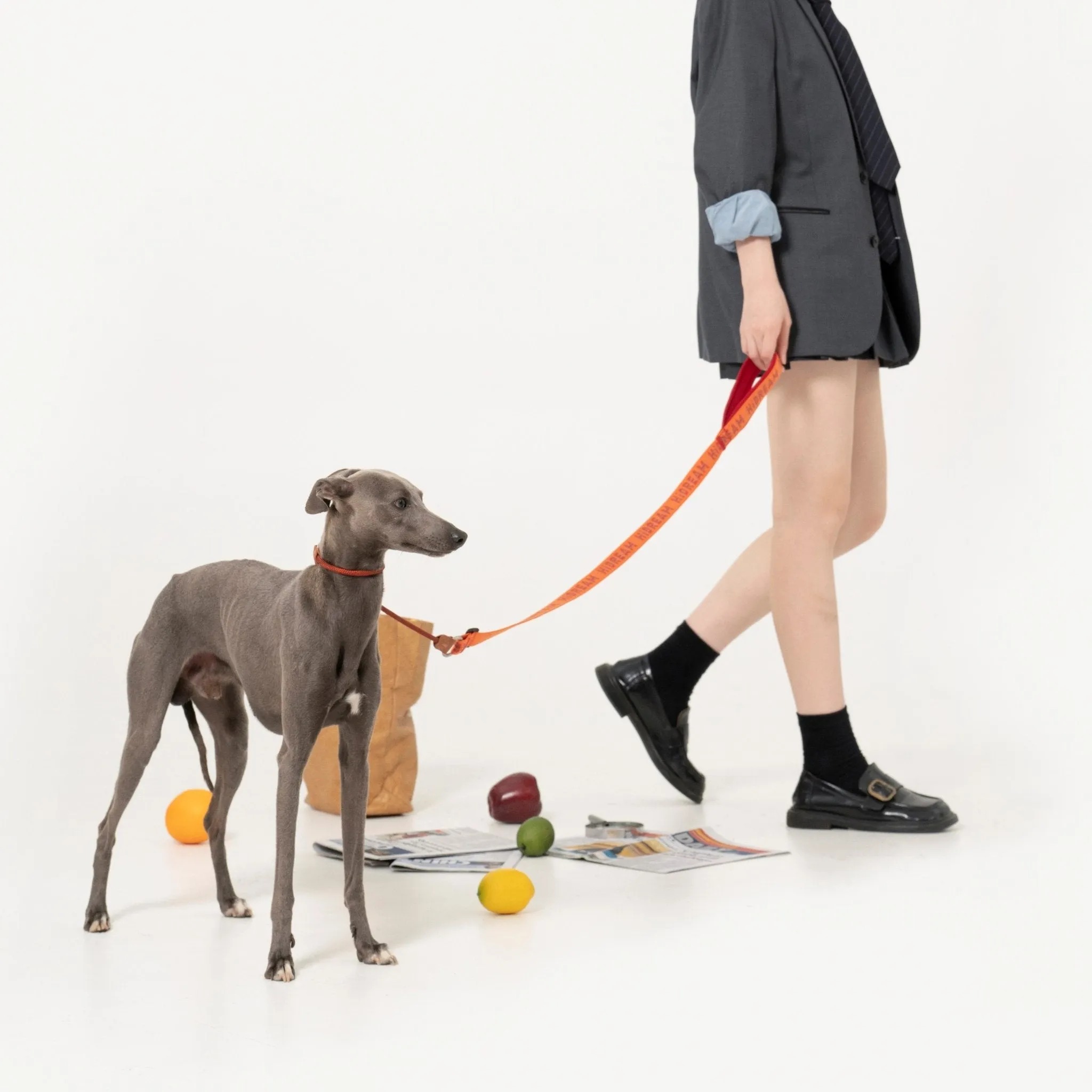 Bobo Series - Soft handle Nylon Dog Leash - Image 3