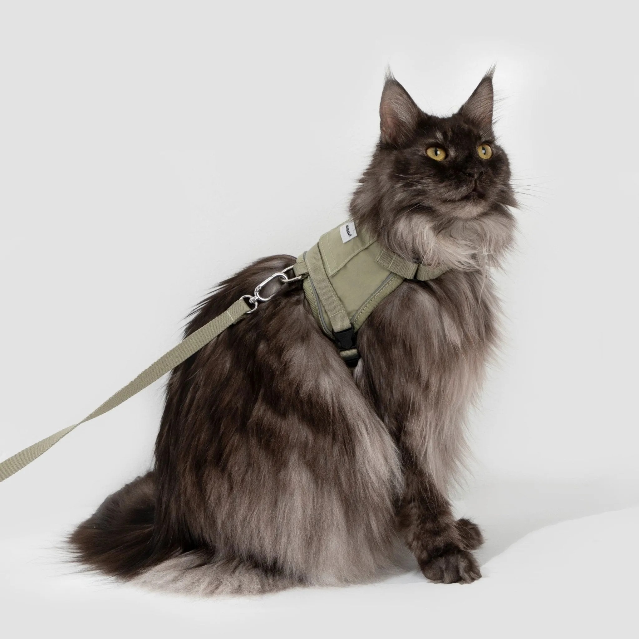 (NEW) Valley Series Cat Vest Harness Kit - Image 4