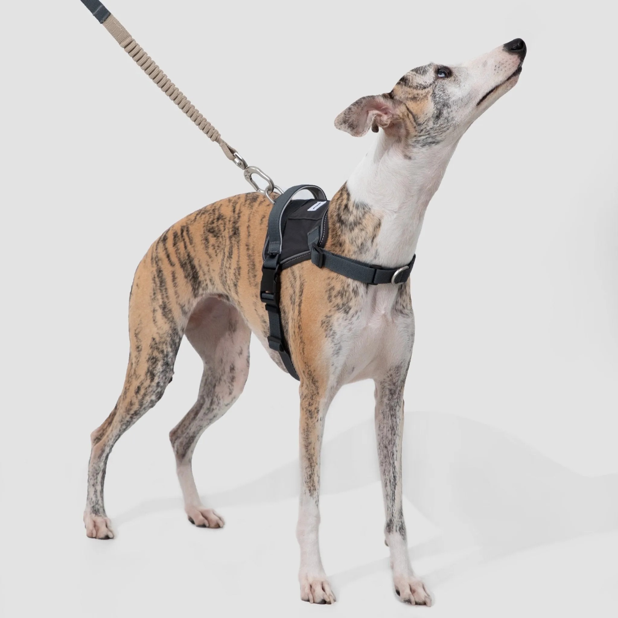 (NEW) Valley Series Dog Harness Vest Kit - Image 2