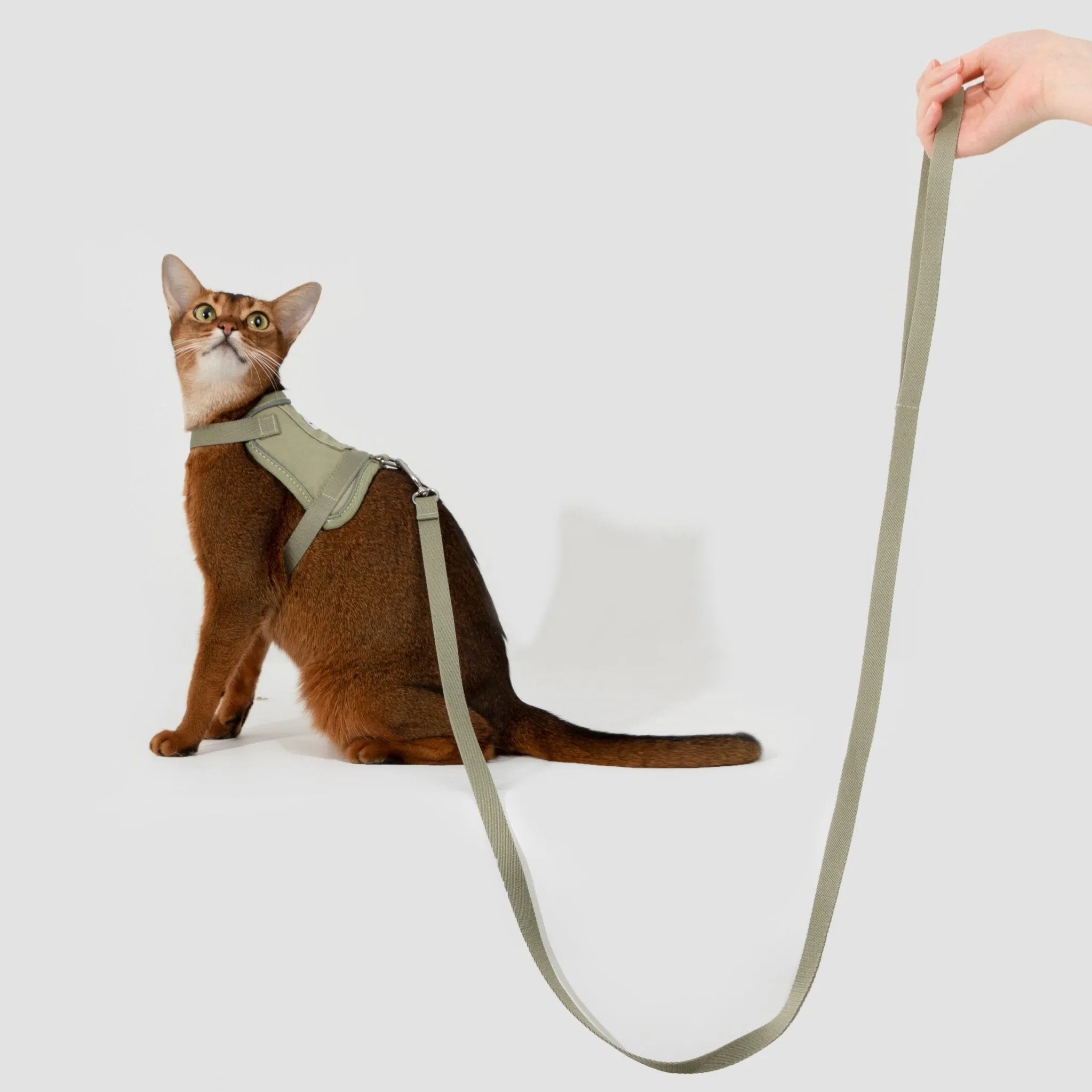 (NEW) Valley Series Cat Vest Harness Kit - Image 3