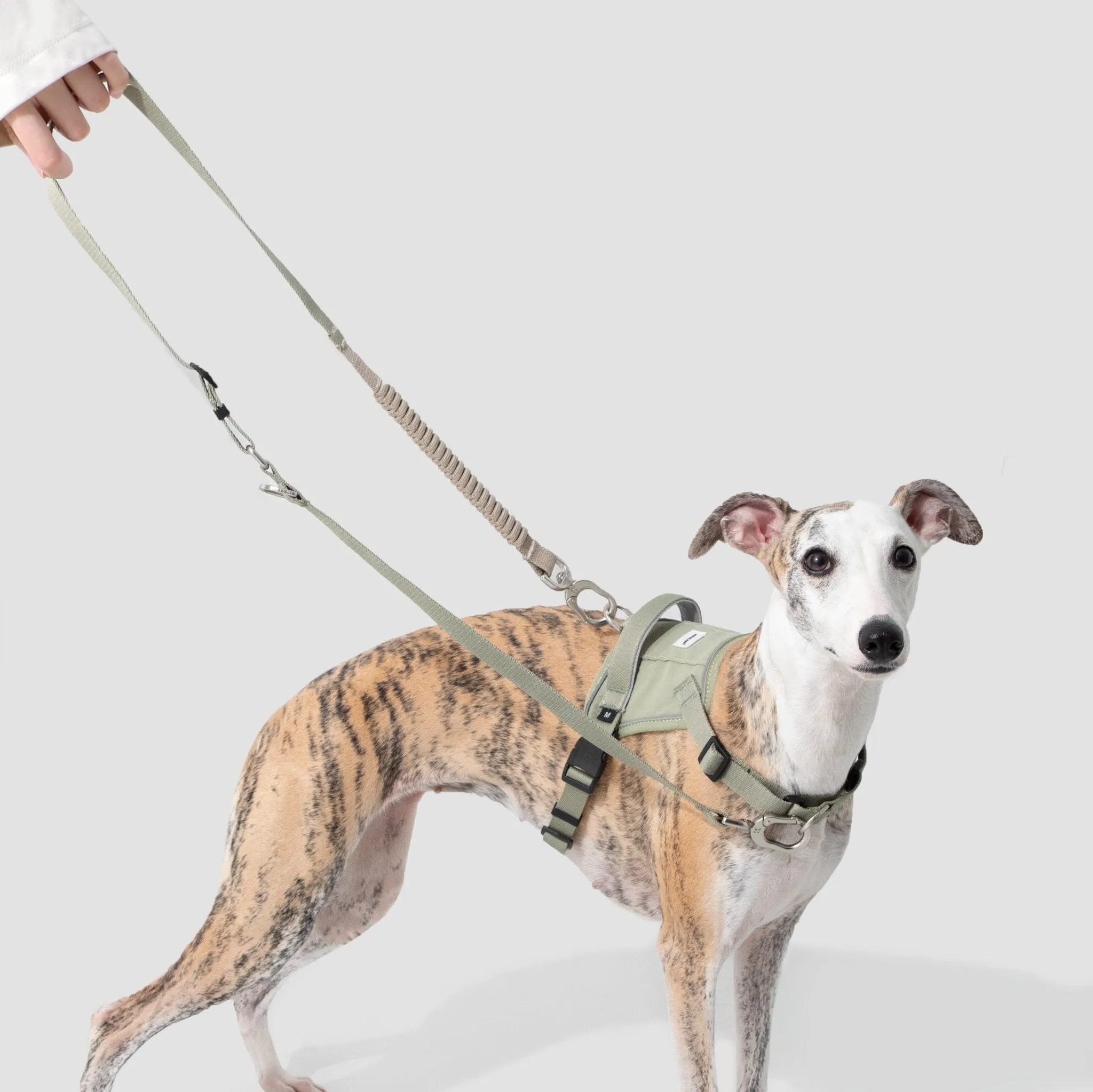 (NEW) Valley Series Dog Harness Vest Kit - Image 3