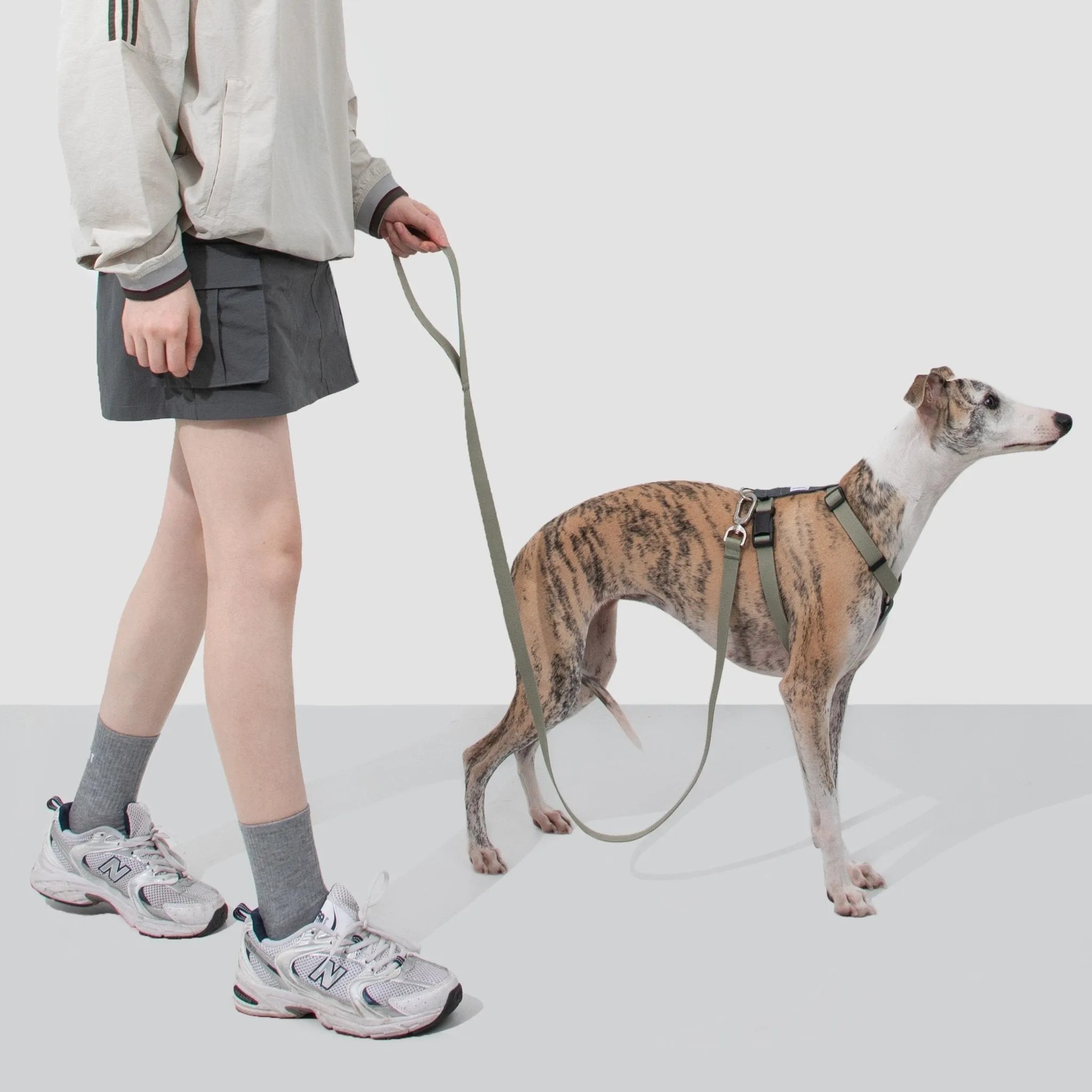 (NEW) Valley Series Dog Harness Walk Kit - Image 3